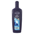 Andrelon Men Shampoo en Bodywash Hair and Body 300 ml