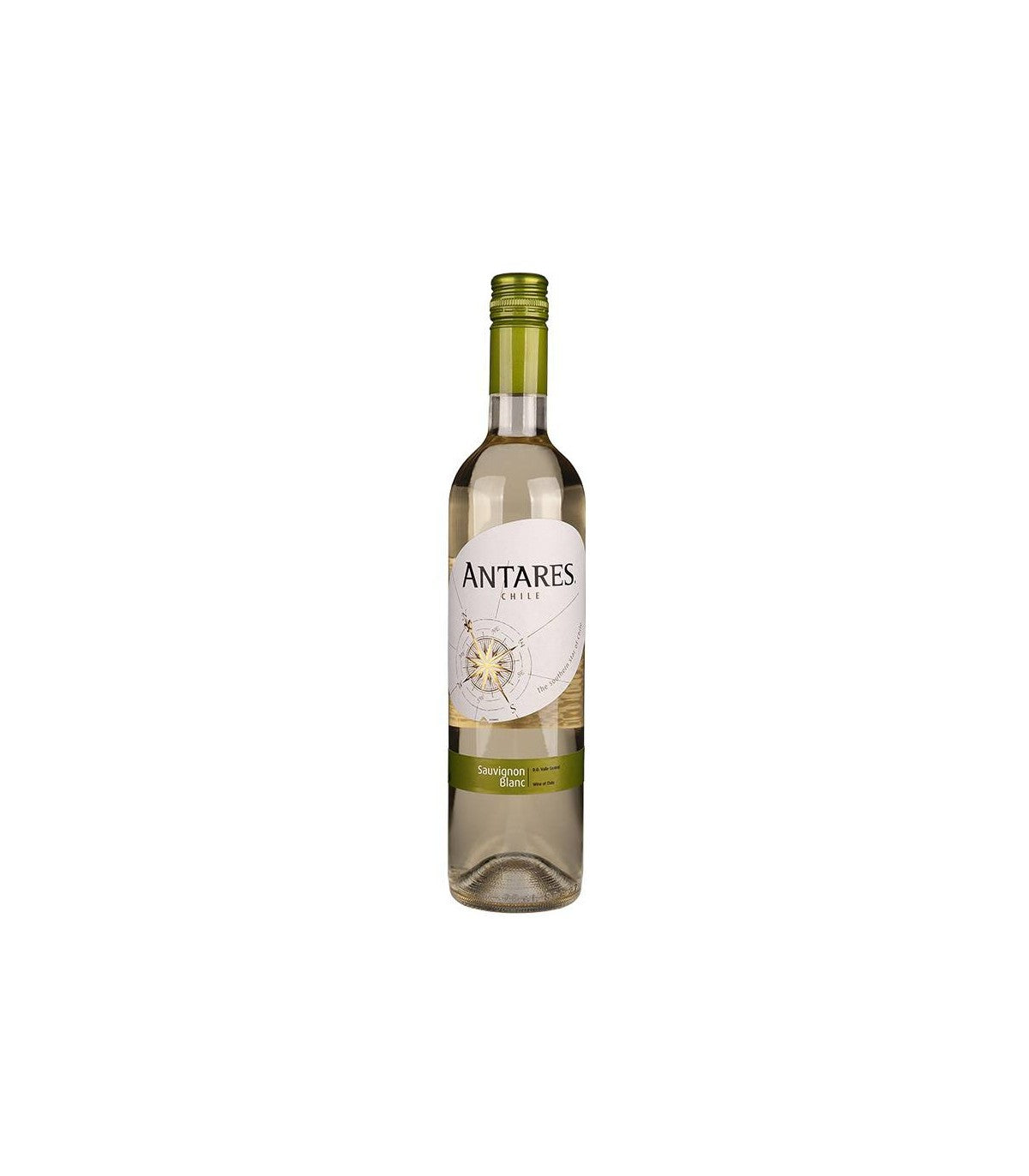 Antares Sauvignon Blanc - Chile