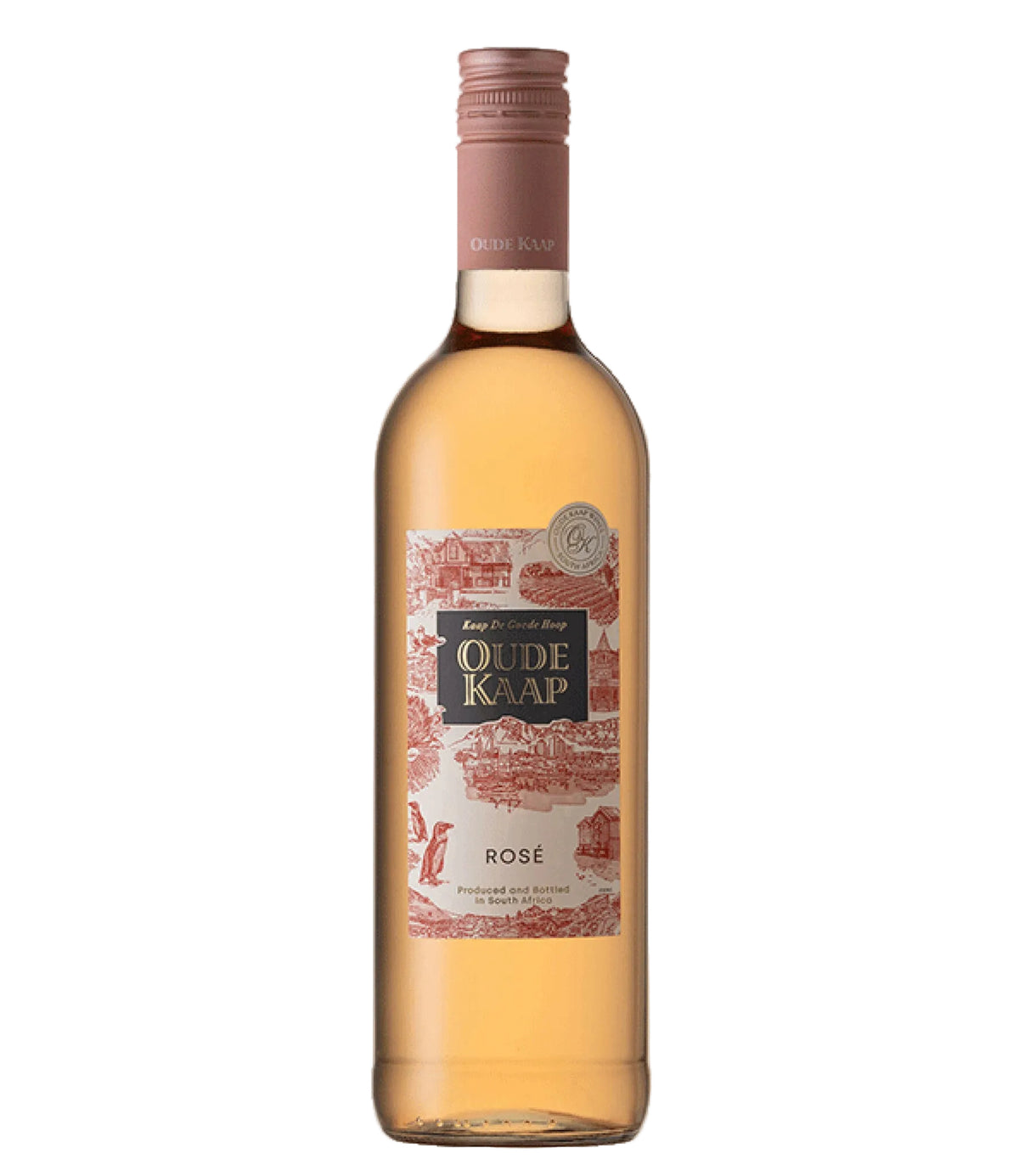 Oude Kaap Rose - Zuid Afrika